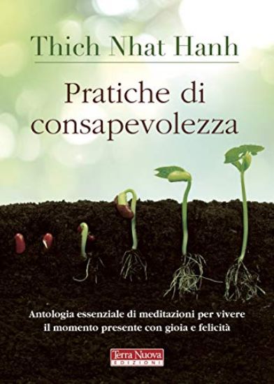 Immagine di PRATICHE DI CONSAPEVOLEZZA. ANTOLOGIA ESSENZIALE DI MEDITAZIONI PER VIVERE IL MOMENTO PRESENTE C...