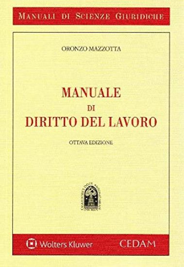 Immagine di MANUALE DI DIRITTO DEL LAVORO