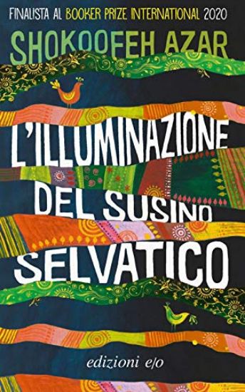 Immagine di ILLUMINAZIONE DEL SUSINO SELVATICO (L`)