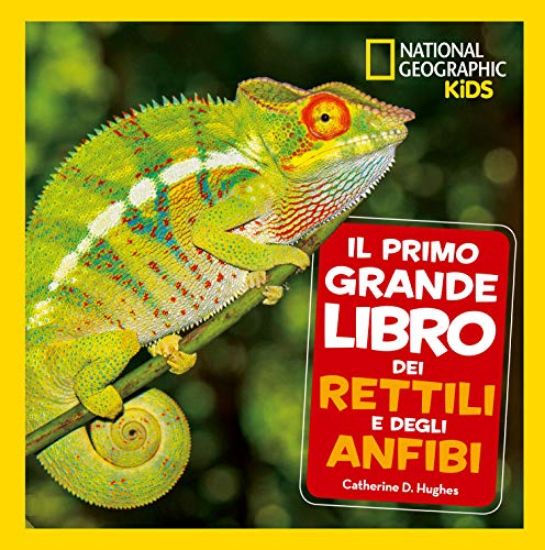 Immagine di PRIMO GRANDE LIBRO DEI RETTILI E DEGLI ANFIBI (IL)