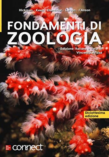 Immagine di FONDAMENTI DI ZOOLOGIA