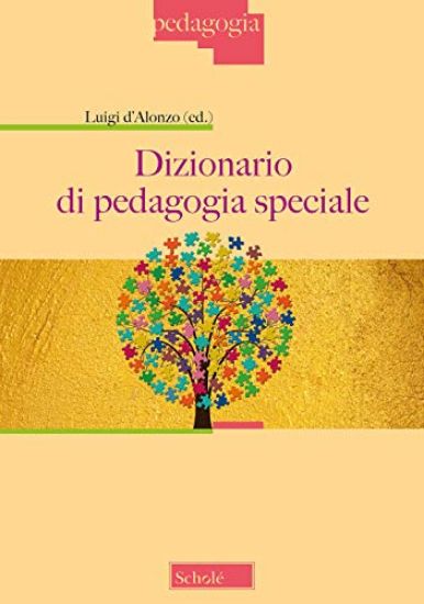 Immagine di DIZIONARIO DI PEDAGOGIA SPECIALE