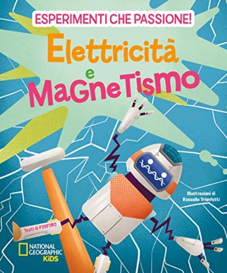 Immagine di ELETTRICITA` E MAGNETISMO. ESPERIMENTI CHE PASSIONE!