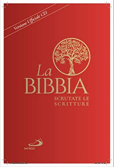 Immagine di LA BIBBIA SCRUTATE VLE SCRITTURE