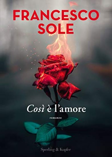 Immagine di COSI` E` L`AMORE