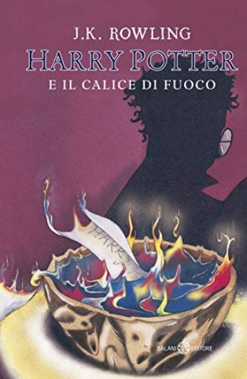 Immagine di HARRY POTTER E IL CALICE DI FUOCO - VOLUME 4