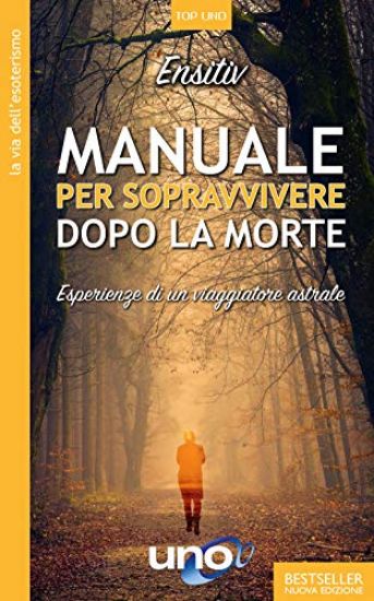 Immagine di MANUALE PER SOPRAVVIVERE DOPO LA MORTE. ESPERIENZE DI UN VIAGGIATORE ASTRALE