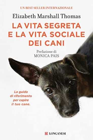 Immagine di VITA SEGRETA E LA VITA SOCIALE DEI CANI (LA)