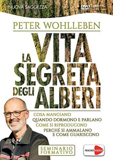 Immagine di VITA SEGRETA DEGLI ALBERI (LA) DVD