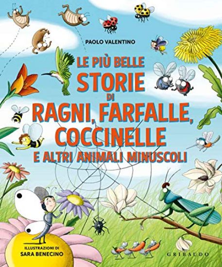 Immagine di PIU` BELLE STORIE DI RAGNI FARFALLE COCCINELLE E ALTRI