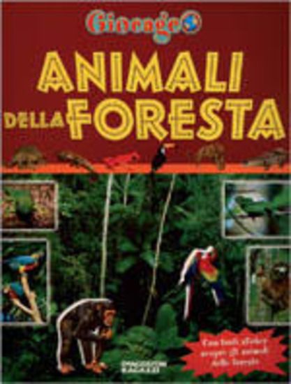 Immagine di ANIMALI DELLA FORESTA - GIOCAGEO