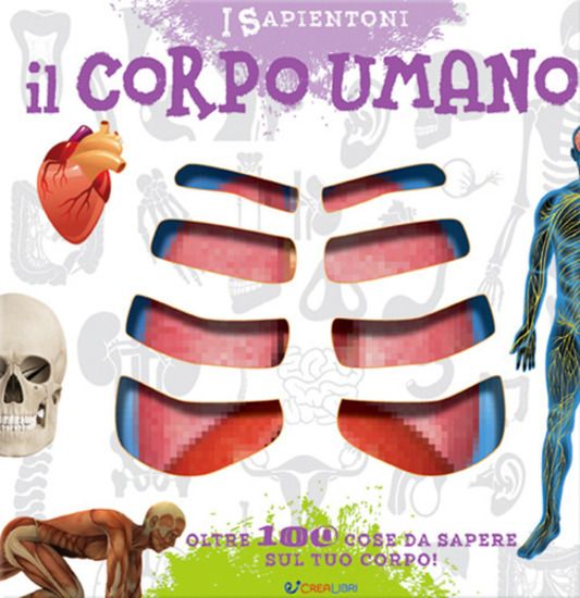 Immagine di CORPO UMANO. OLTRE 100 COSE DA SAPERE SUL TUO CORPO!