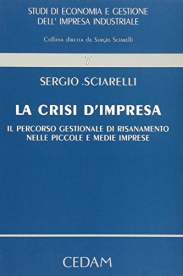 Immagine di CRISI D`IMPRESA. IL PERCORSO GESTIONALE DI RISANAMENTO NELLE PICCOLE E MEDIE IMPRESE (LA)