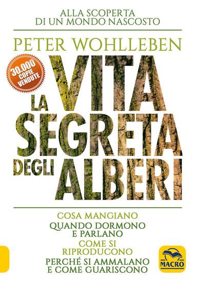 Immagine di VITA SEGRETA DEGLI ALBERI. COSA MANGIANO. QUANDO DORMONO E PARLANO. COME SI RIPRODUCONO. PERCHE` SI