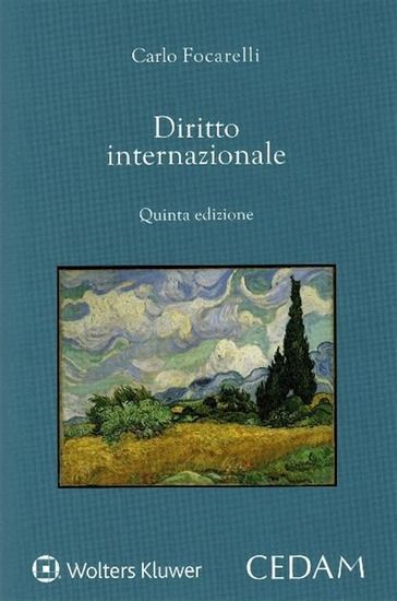 Immagine di DIRITTO INTERNAZIONALE