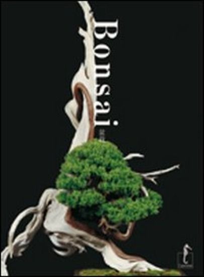 Immagine di BONSAI