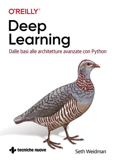 Immagine di DEEP LEARNING. DALLE BASI ALLE ARCHITETTURE AVANZATE CON PYTHON