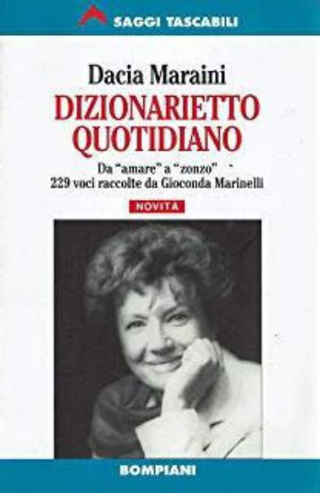 Immagine di DIZIONARIETTO QUOTIDIANO