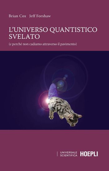 Immagine di UNIVERSO QUANTISTICO SVELATO (E PERCHE` NON CADIAMO ATTRAVERSO IL PAVIMENTO) (L`)