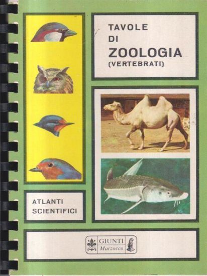 Immagine di TAVOLE DI ZOOLOGIA VERTEBRATI  ATLANTI SCIENTIFICI