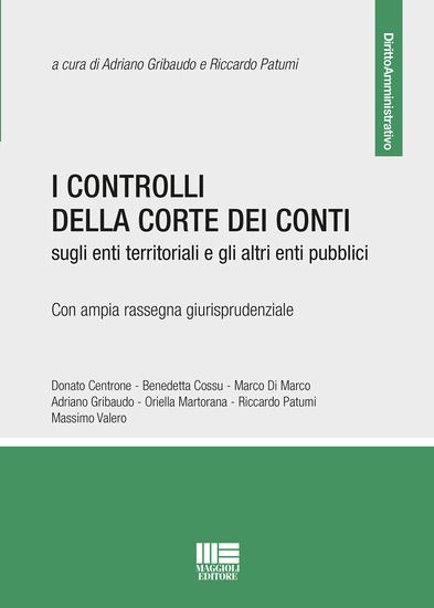 Immagine di CONTROLLI DELLA CORTE DEI CONTI (I)