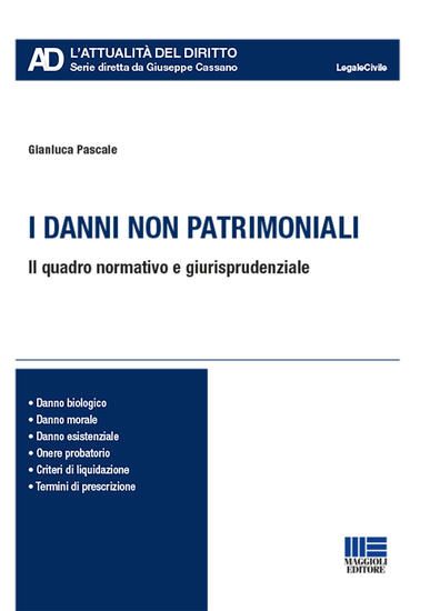 Immagine di DANNI NON PATRIMONIALI. IL QUADRO NORMATIVO E GIURISPRUDENZIALE (I)