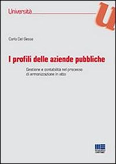 Immagine di PROFILI DELLE AZIENDE PUBBLICHE (I)