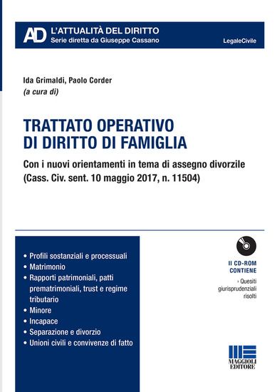 Immagine di TRATTATO OPERATIVO DI DIRITTO DI FAMIGLIA. CON CD-ROM