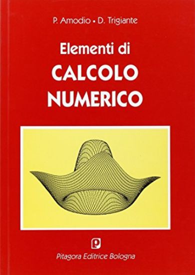 Immagine di ELEMENTI DI CALCOLO NUMERICO