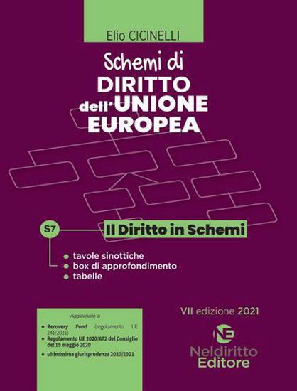 Immagine di SCHEMI DI DIRITTO DELL`UNIONE EUROPEA. 2021