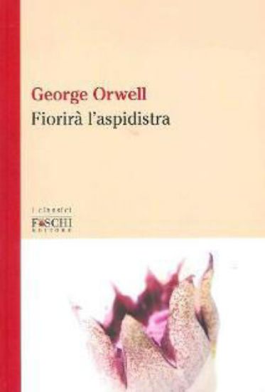 Immagine di FIORIRA` L`ASPIDISTRA