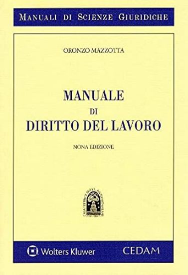 Immagine di MANUALE DI DIRITTO DEL LAVORO