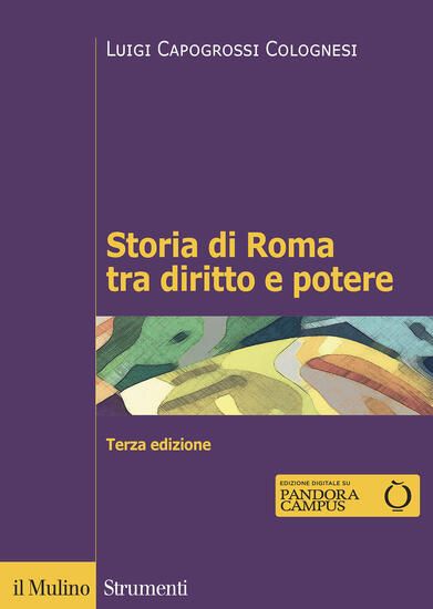 Immagine di STORIA DI ROMA TRA DIRITTO E POTERE. LA FORMAZIONE DI UN ORDINAMENTO GIURIDICO