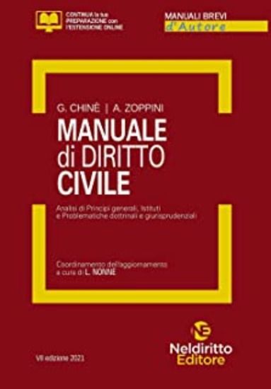 Immagine di MANUALE DI DIRITTO CIVILE