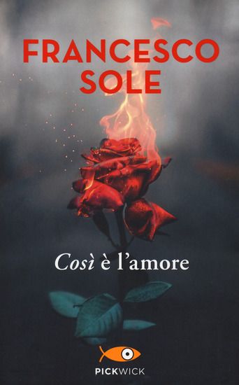 Immagine di COSI` E` L`AMORE