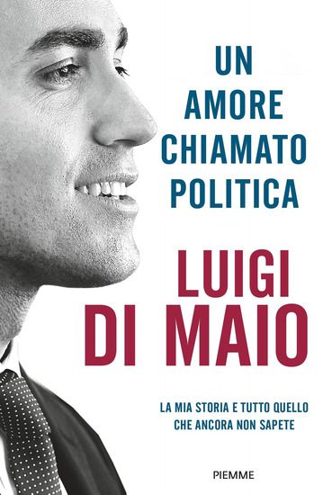 Immagine di AMORE CHIAMATO POLITICA (UN)