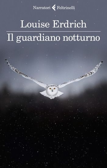 Immagine di GUARDIANO NOTTURNO (IL)