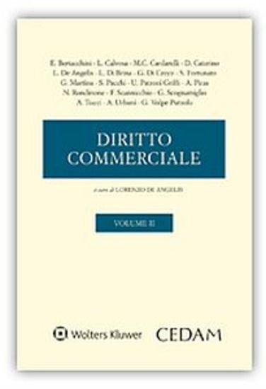 Immagine di DIRITTO COMMERCIALE - VOLUME 2