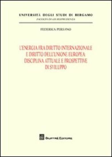 Immagine di ENERGIA FRA DIRITTO INTERNAZIONALE E DIRITTO DELL`UNIONE EUROPEA. DISCIPLINA ATTUALE E PROSPETTI...