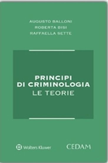 Immagine di PRINCIPI DI CRIMINOLOGIA. LE TEORIE