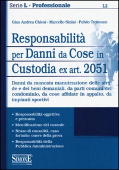 Immagine di RESPONSABILITA` PER DANNI DA COSE IN CUSTODIA EX ART. 2051