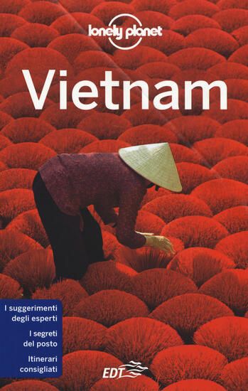 Immagine di VIETNAM