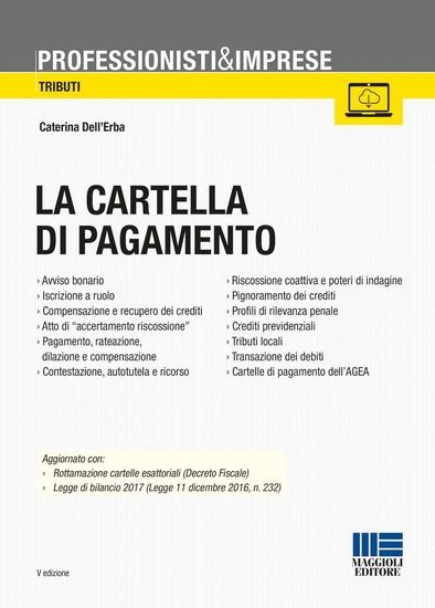 Immagine di CARTELLA DI PAGAMENTO. CON CD-ROM (LA)