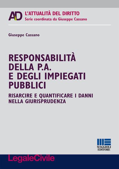 Immagine di RESPONSABILITA` DELLA P. A. E DEGLI IMPIEGATI PUBBLICI. RISARCIRE E QUANTIFICARE I DANNI NELLA G...