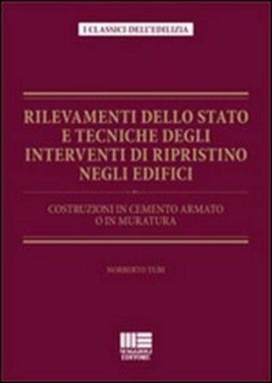 Immagine di RILEVAMENTI DELLO STATO E TECNICHE DEGLI INTERVENTI DI RIPRISTINO NEGLI EDIFICI. COSTRUZIONI IN ...