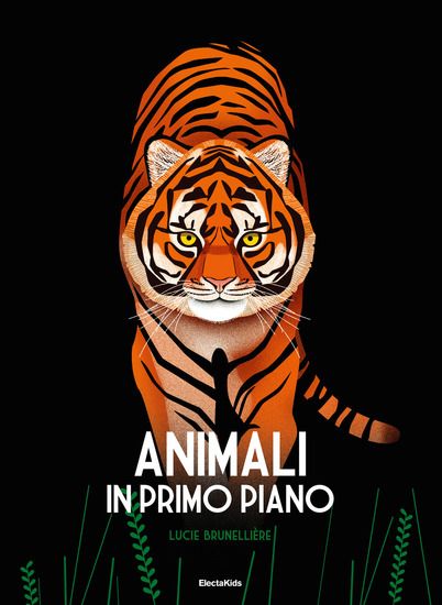 Immagine di ANIMALI IN PRIMO PIANO. EDIZ. A COLORI