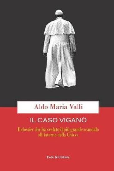 Immagine di CASO VIGANO`. IL DOSSIER CHE HA SVELATO IL PIU` GRANDE SCANDALO ALL`INTERNO DELLA CHIESA (IL)