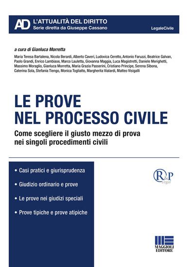 Immagine di PROVE NEL PROCESSO CIVILE (LE)