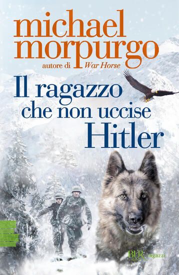 Immagine di RAGAZZO CHE NON UCCISE HITLER (IL)