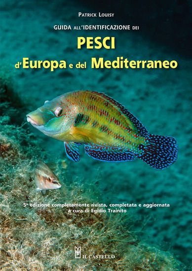 Immagine di GUIDA ALL`IDENTIFICAZIONE DEI PESCI MARINI D`EUROPA E DEL MEDITERRANEO